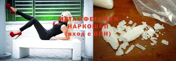 индика Алексин