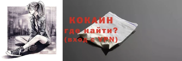 индика Алексин