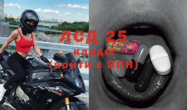 индика Алексин