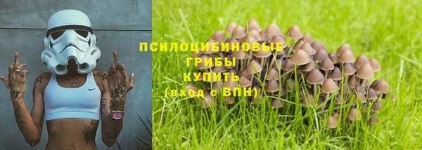 дживик Алексеевка