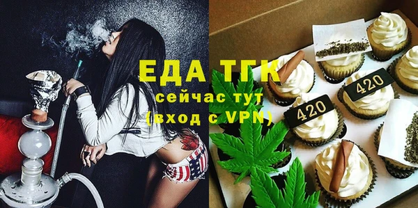 индика Алексин