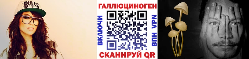 блэк спрут зеркало  наркотики  Пикалёво  Псилоцибиновые грибы Magic Shrooms 